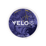 VELO Tomorrowland Mango Ice Limited Edition 2026
