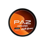 PAZ Racing Dakar