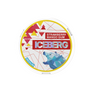 Iceberg Strawberry Mango Gum Medium